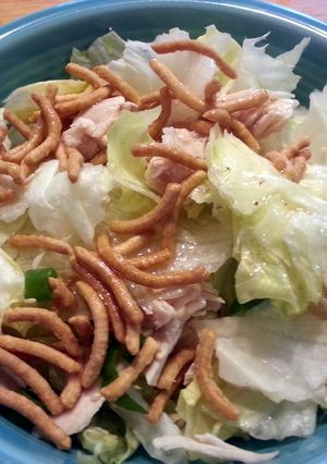 A picture of Chinese chicken salad.