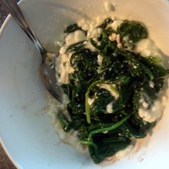A picture of Green Mush.