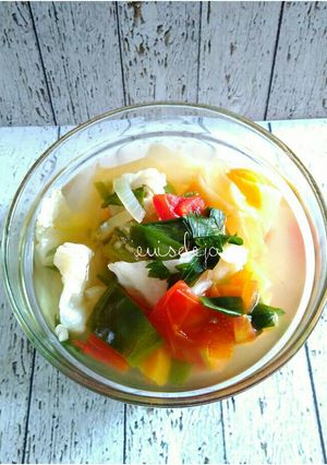 Foto resep Wonder soup/sup pembakar lemak #GMdiet