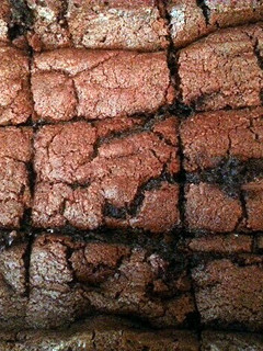 A picture of Cheat day Fudge Brownies.