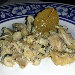 A picture of Chicken Fricassee.