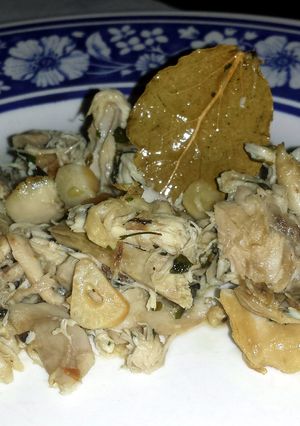A picture of Chicken Fricassee.
