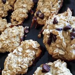 A picture of low calorie oatmeal cookies.