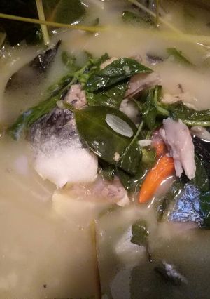 Foto resep Sup ikan patin tanpa tumis