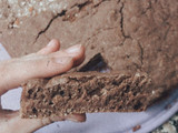 Brownie light