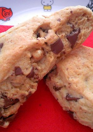 A picture of No Dishes! Easy Scones Made in a Bag.