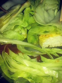 A picture of Cottage Cheese (Paneer) Cabbage Bites.