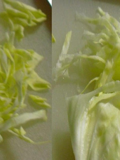 A picture of How to Chop Cabbage.