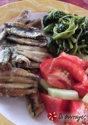 A picture of Anchovies without any regrets.