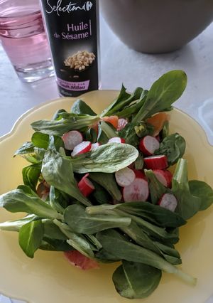 Une photo de Salade radis mâche orange