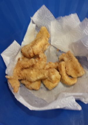 A picture of Melt your mama fish coat.