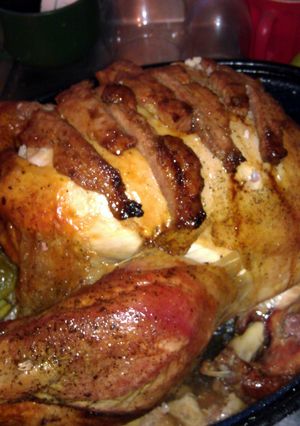 A picture of Turkey a la Juicy.
