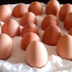 A picture of Boiled Eggs.