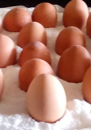A picture of Boiled Eggs.
