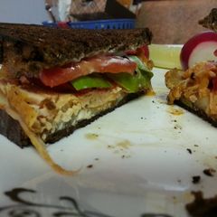 A picture of Gotta-Try Sammy.