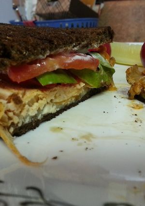 A picture of Gotta-Try Sammy.