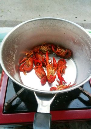 A picture of First Attempt Success! Salt-Steamed Crayfish.