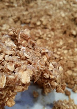 A picture of Sweet Chewy Granola.