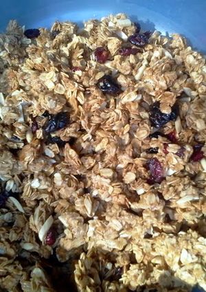 A picture of Healthy crunchy granola clusters.