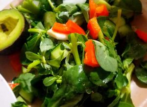 Una foto de Ensalada de verdolagas crudas