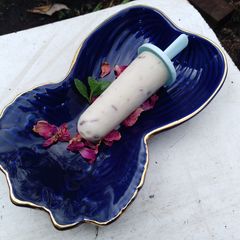 A picture of Peppermint & chocolate kulfi.