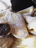 Sfogliatelle Abruzzesi