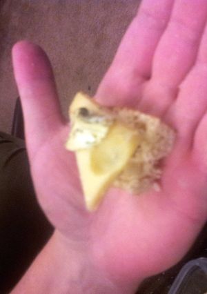 A picture of Bread and cheese.