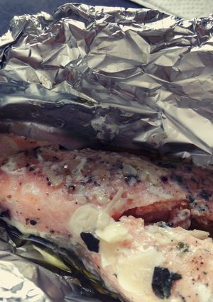 A picture of Salmon in the aluminium.