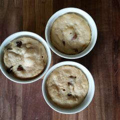A picture of Cookie in a Cup.