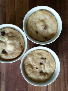 A picture of Cookie in a Cup.