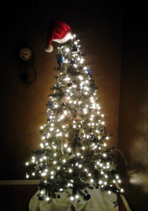 A picture of Scented christmas tree.