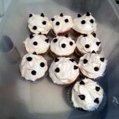 A picture of Chocolate chip cup cake.