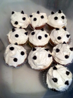 A picture of Chocolate chip cup cake.