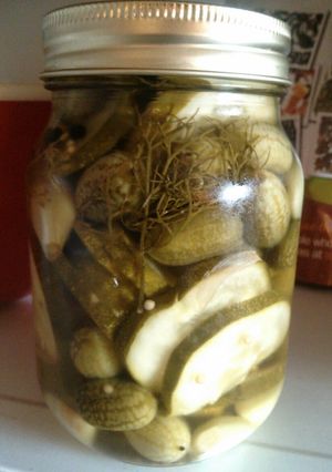 A picture of Garlic Dill Pickles.