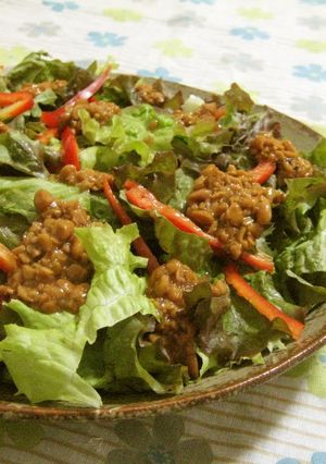 A picture of Lettuce Salad with Sticky Natto Dressing.