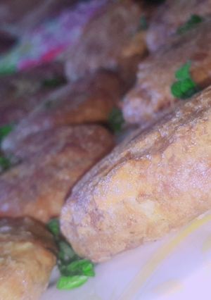 A picture of Beef shami.kabab.