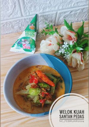 Foto resep Welok Kuah Santan Pedas