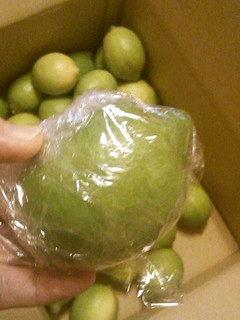 A picture of Storing Whole Lemons.