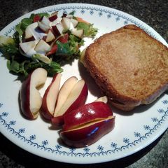 A picture of Swiss Tuna melt.