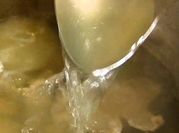 A picture of pork stock