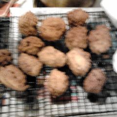Kickin Hush Puppy's A picture of Kickin Hush Puppy's.