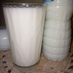A picture of Sharba🥛 Milk.