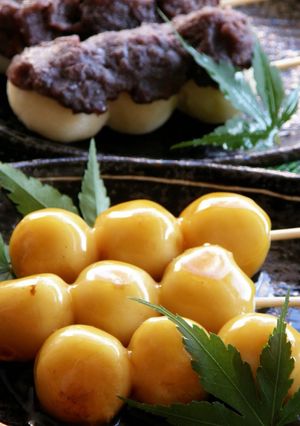 A picture of Moist and Chewy Mitarashi Dango with Tofu.