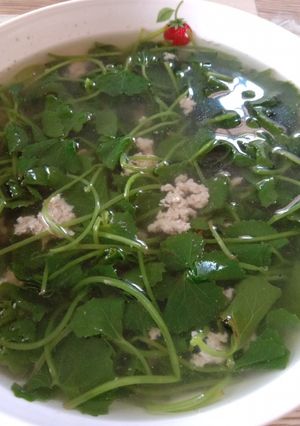 Hình của món Canh rau má thịt bằm.
