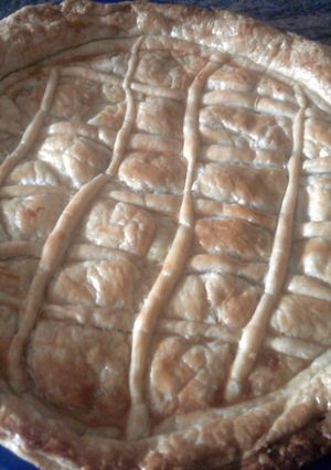 A picture of American chicken pie.