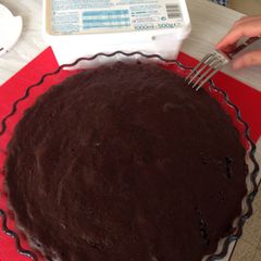 A picture of Brownie.