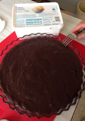 A picture of Brownie.