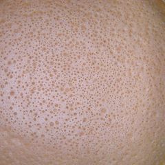 A picture of Ethiopian Injera Sourdough Flatbread.
