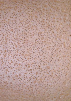 A picture of Ethiopian Injera Sourdough Flatbread.