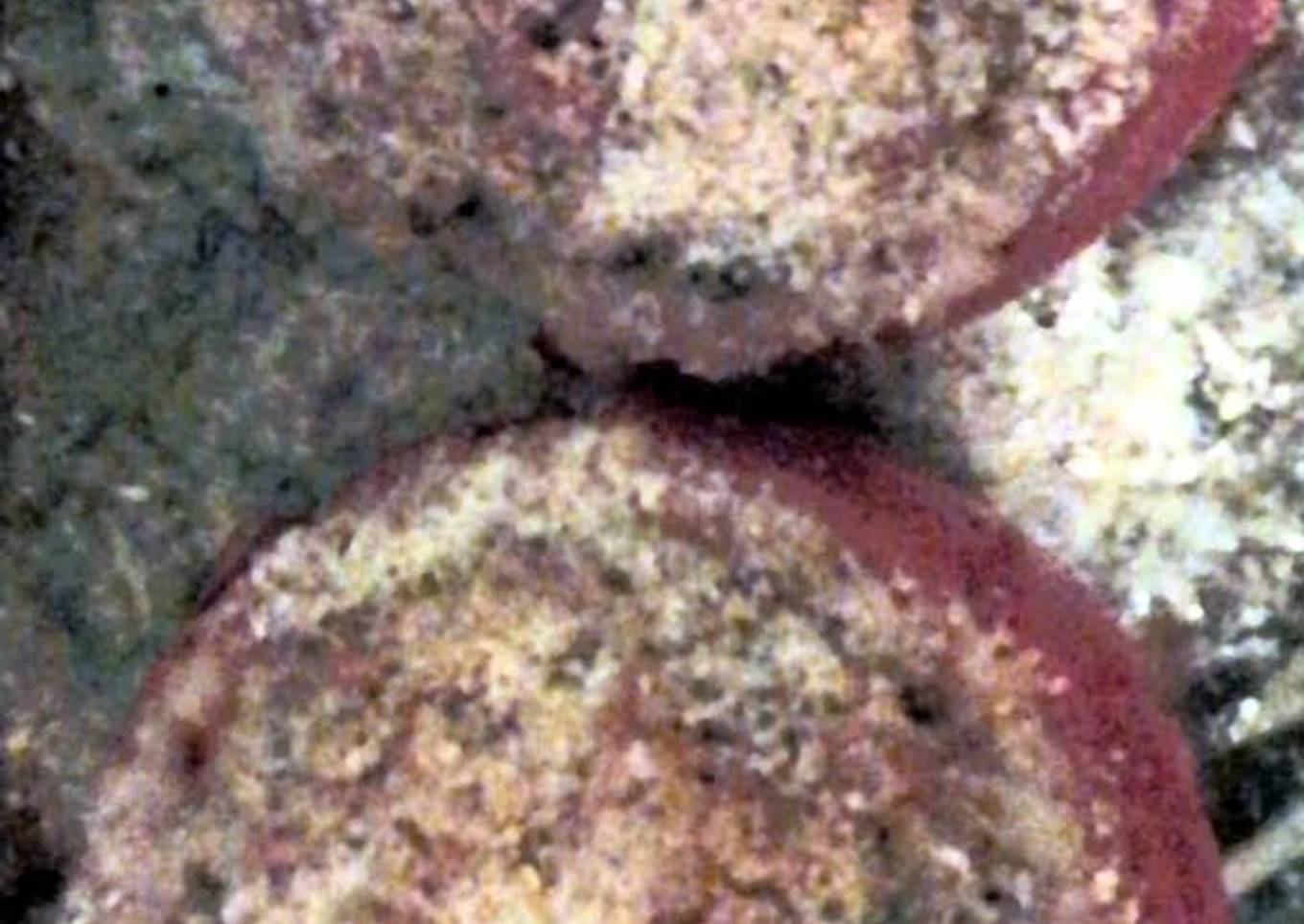 Stuffed Tomatoes